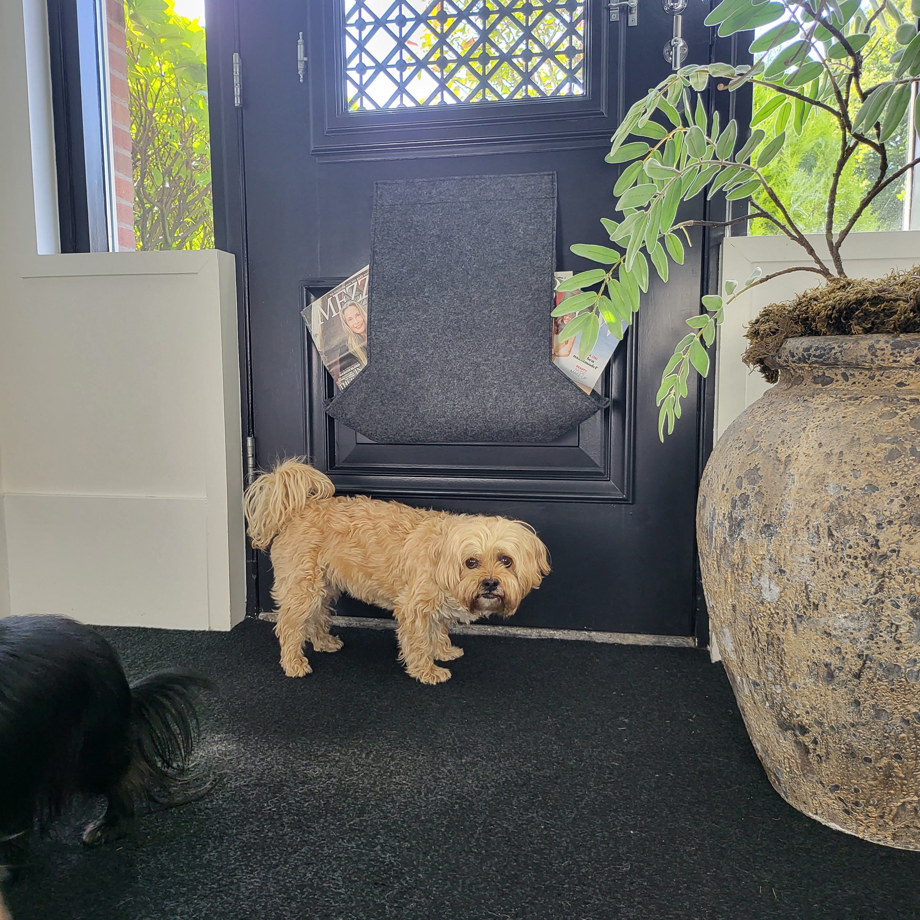 Receptor de correo Deluxe LUCA gris