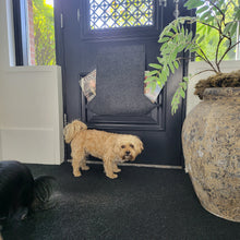 Lade das Bild in den Galerie-Viewer, Brieffänger Deluxe LUCA anthrazit