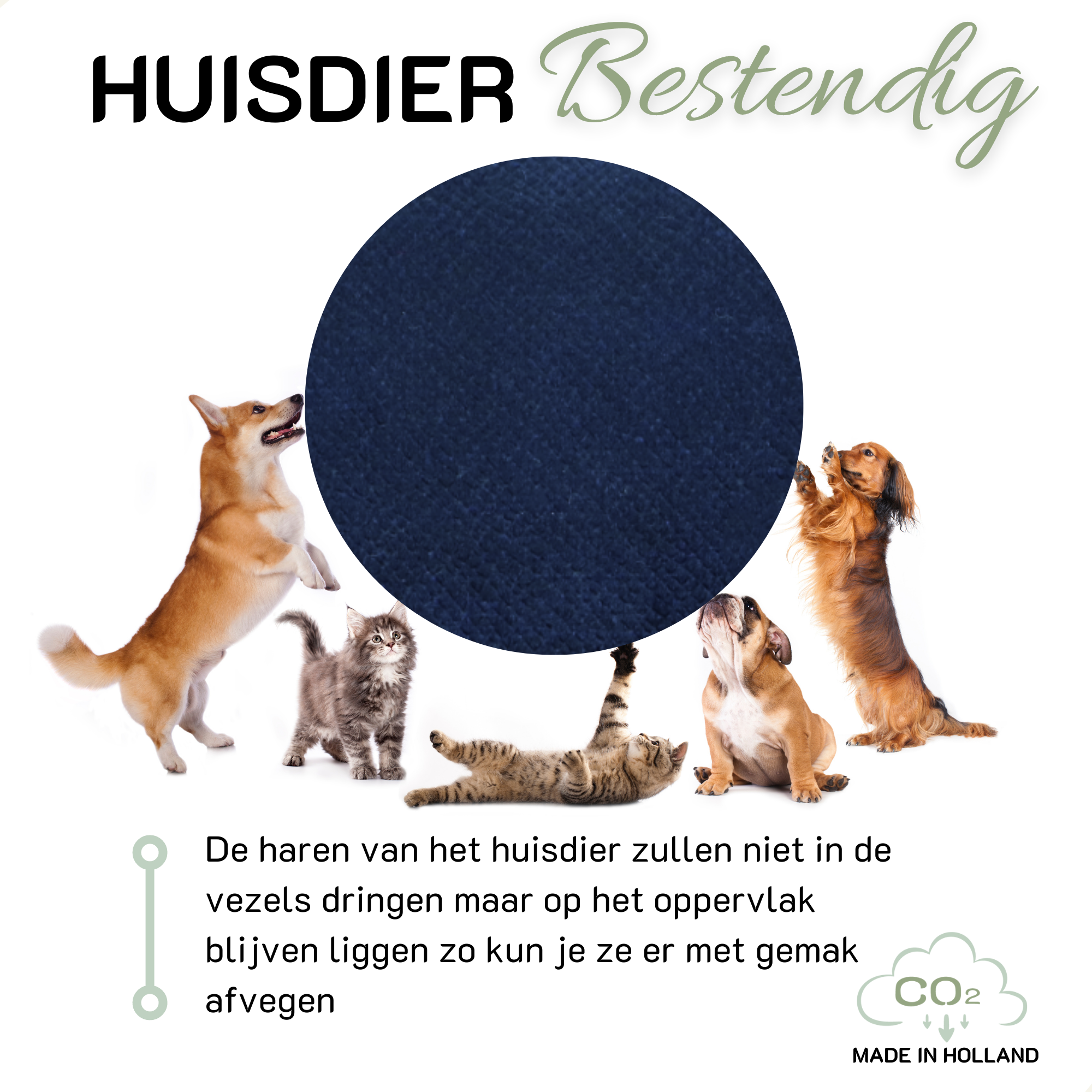 Nekkussen FLAIR Navy