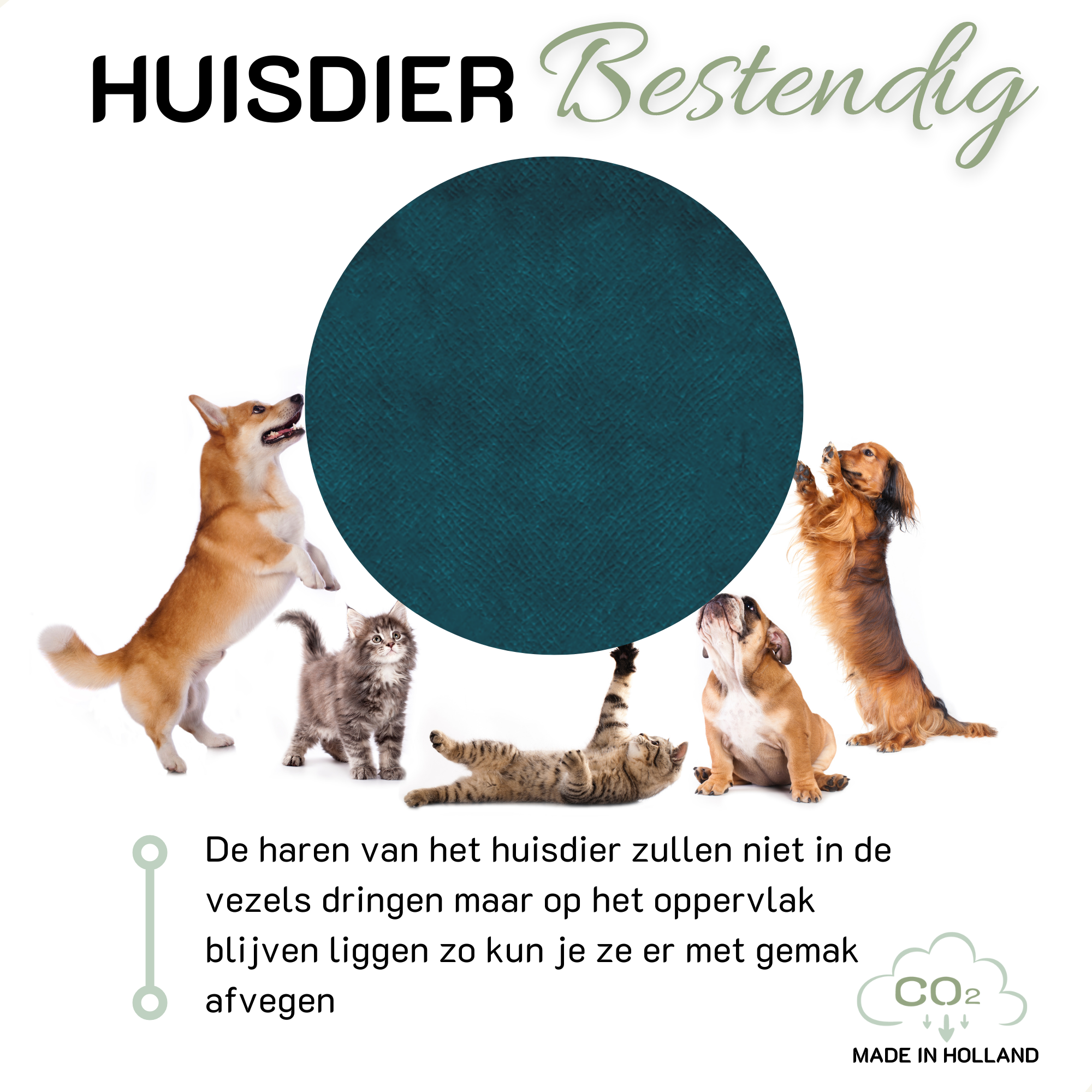 Nekkussen FLAIR petrol